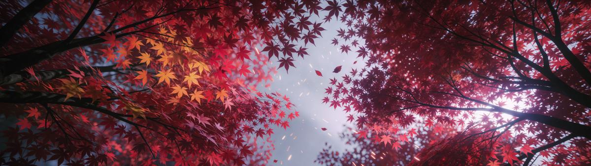 Featured Wallpapers