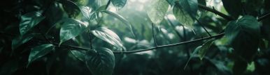 Wallpaper aishot-2569.jpg