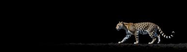Wallpaper aishot-2982.jpg
