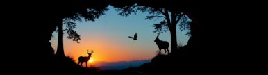 Wallpaper aishot-3170.jpg