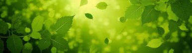 Wallpaper aishot-3213.jpg