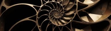 Wallpaper aishot-5943.jpg