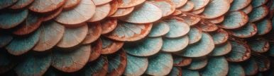 Wallpaper aishot-5966.jpg