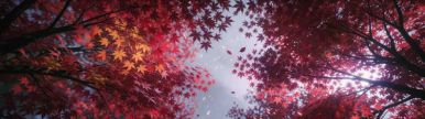 Wallpaper aishot-6008.jpg