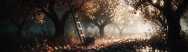 Wallpaper aishot-6104.jpg
