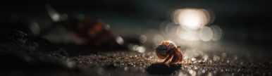Wallpaper aishot-6122.jpg